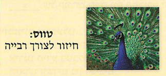 (בספר תרשים של ציוד המשימה)